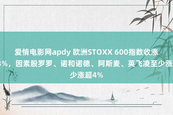 爱情电影网apdy 欧洲STOXX 600指数收涨约0.3%，因素股罗罗、诺和诺德、阿斯麦、英飞凌至少涨超4%
