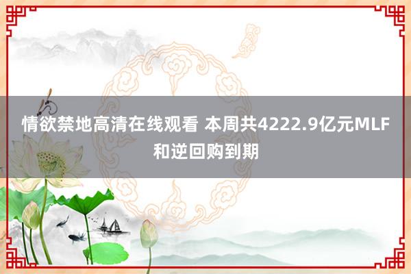 情欲禁地高清在线观看 本周共4222.9亿元MLF和逆回购到期