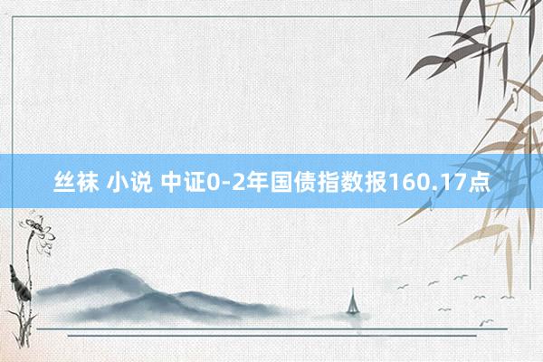 丝袜 小说 中证0-2年国债指数报160.17点