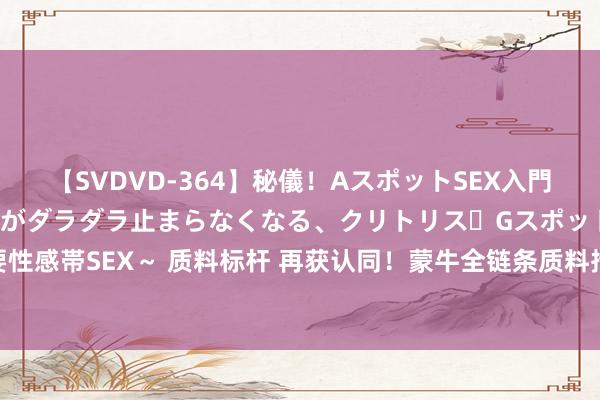 【SVDVD-364】秘儀！AスポットSEX入門 ～刺激した瞬間から愛液がダラダラ止まらなくなる、クリトリス・Gスポットに続く重要性感帯SEX～ 质料标杆 再获认同！蒙牛全链条质料措置获评“2024年质料标杆典型训导”