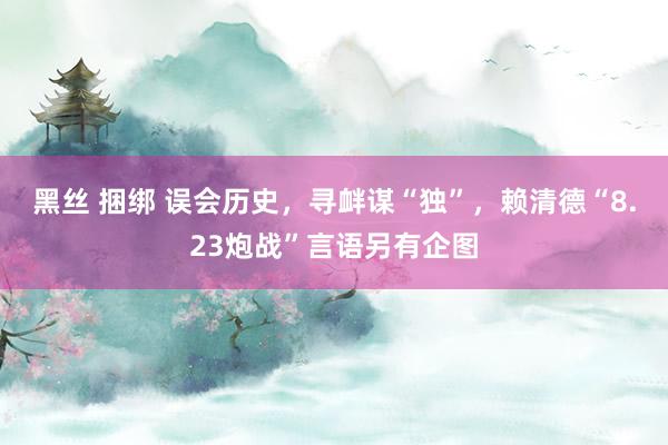 黑丝 捆绑 误会历史，寻衅谋“独”，赖清德“8.23炮战”言语另有企图