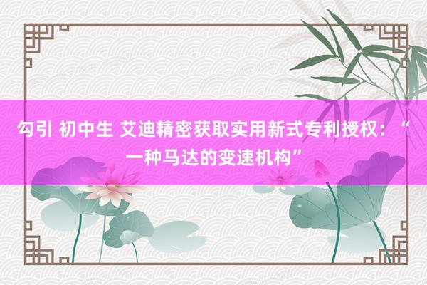 勾引 初中生 艾迪精密获取实用新式专利授权：“一种马达的变速机构”