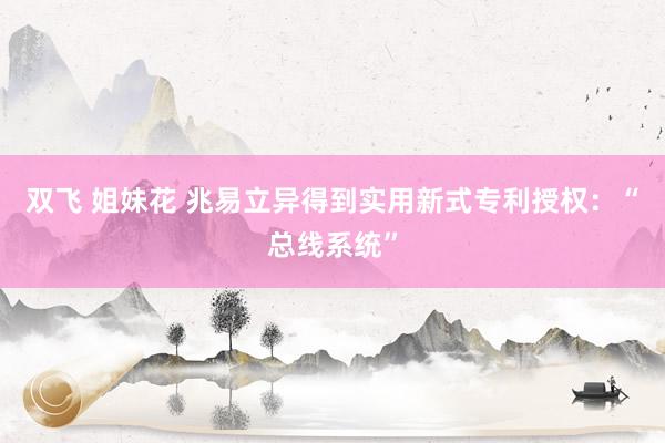 双飞 姐妹花 兆易立异得到实用新式专利授权：“总线系统”
