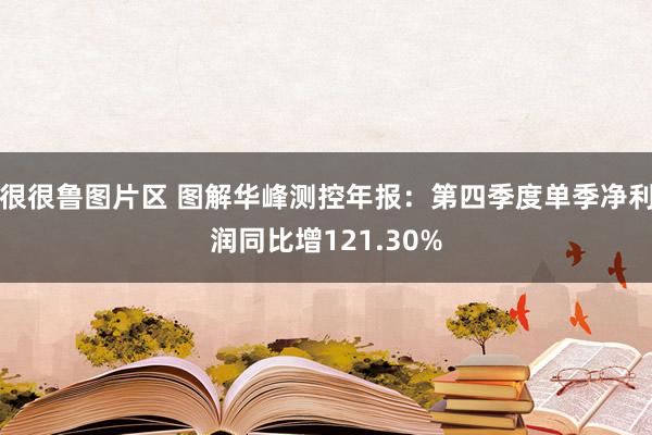 很很鲁图片区 图解华峰测控年报：第四季度单季净利润同比增121.30%