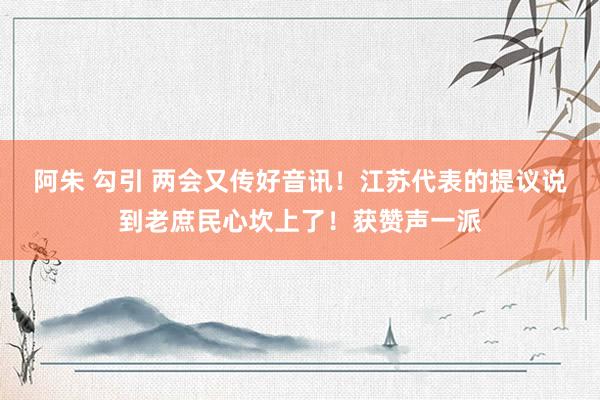 阿朱 勾引 两会又传好音讯！江苏代表的提议说到老庶民心坎上了！获赞声一派