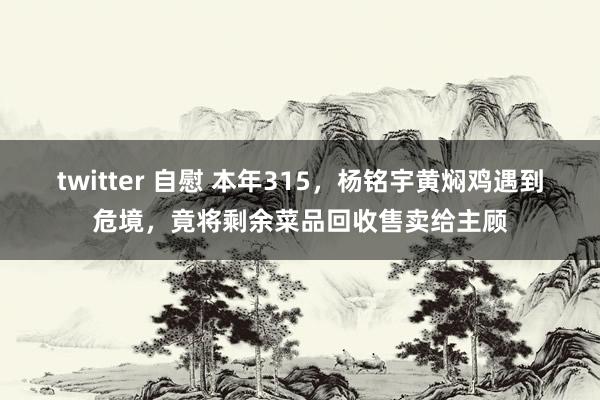 twitter 自慰 本年315，杨铭宇黄焖鸡遇到危境，竟将剩余菜品回收售卖给主顾