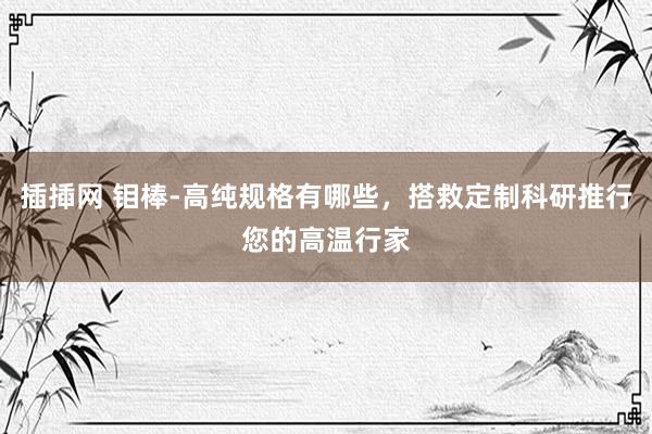 插揷网 钼棒-高纯规格有哪些，搭救定制科研推行您的高温行家