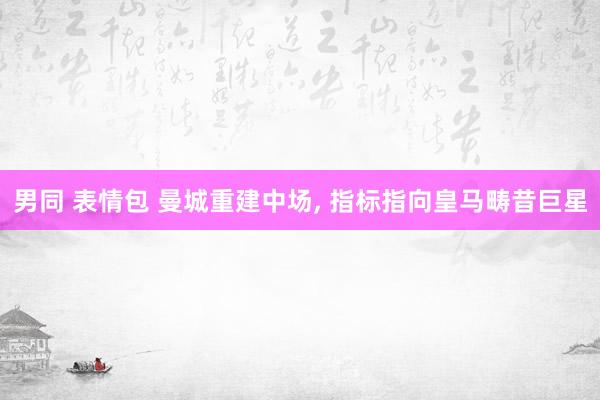 男同 表情包 曼城重建中场， 指标指向皇马畴昔巨星