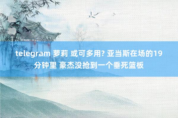telegram 萝莉 或可多用? 亚当斯在场的19分钟里 豪杰没抢到一个垂死篮板