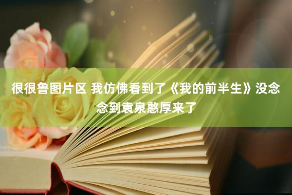 很很鲁图片区 我仿佛看到了《我的前半生》没念念到袁泉憨厚来了