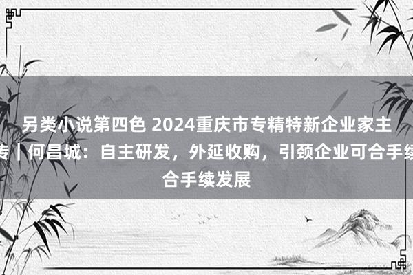 另类小说第四色 2024重庆市专精特新企业家主题宣传｜何昌城：自主研发，外延收购，引颈企业可合手续发展