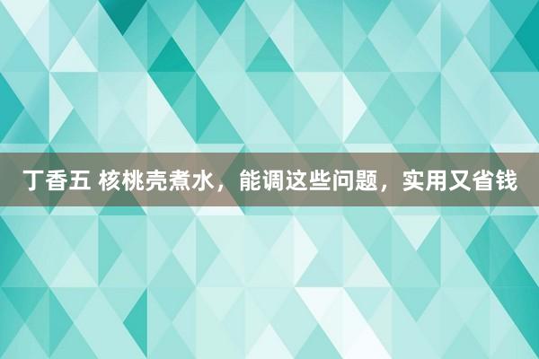 丁香五 核桃壳煮水，能调这些问题，实用又省钱