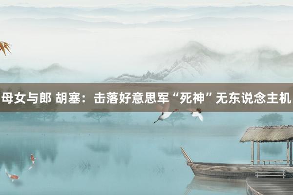 母女与郎 胡塞：击落好意思军“死神”无东说念主机