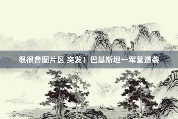 很很鲁图片区 突发！巴基斯坦一军营遭袭