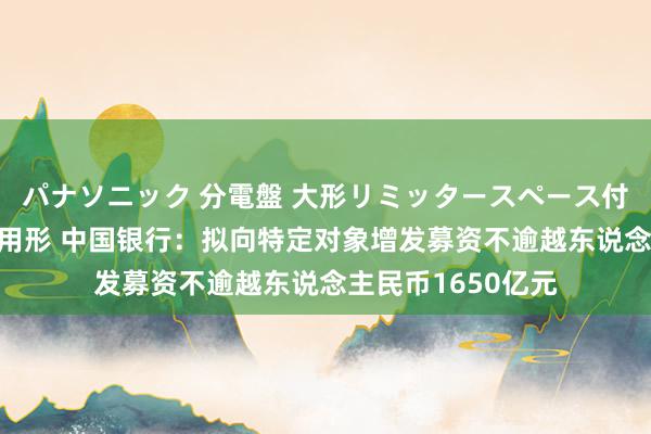 パナソニック 分電盤 大形リミッタースペース付 露出・半埋込両用形 中国银行：拟向特定对象增发募资不逾越东说念主民币1650亿元